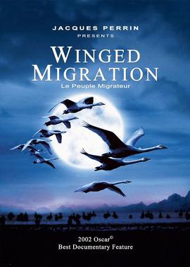 迁徙的鸟