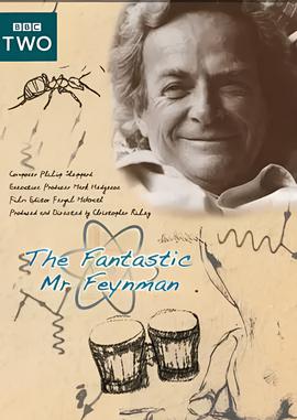 神奇的费曼先生